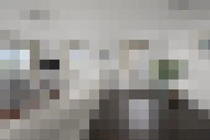 Boog 8 Wormer thumbnail 6