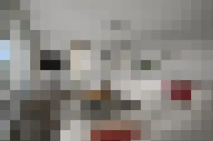 Boog 8 Wormer thumbnail 8