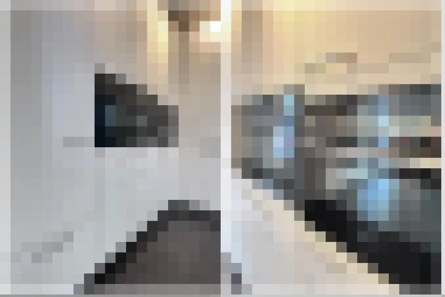 Booglaan 4 Oss thumbnail 15