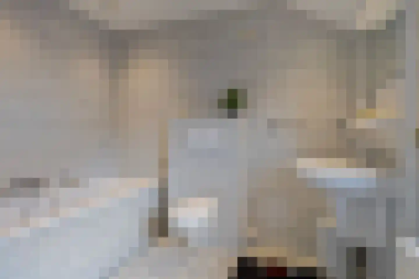 Booglaan 4 Oss thumbnail 45