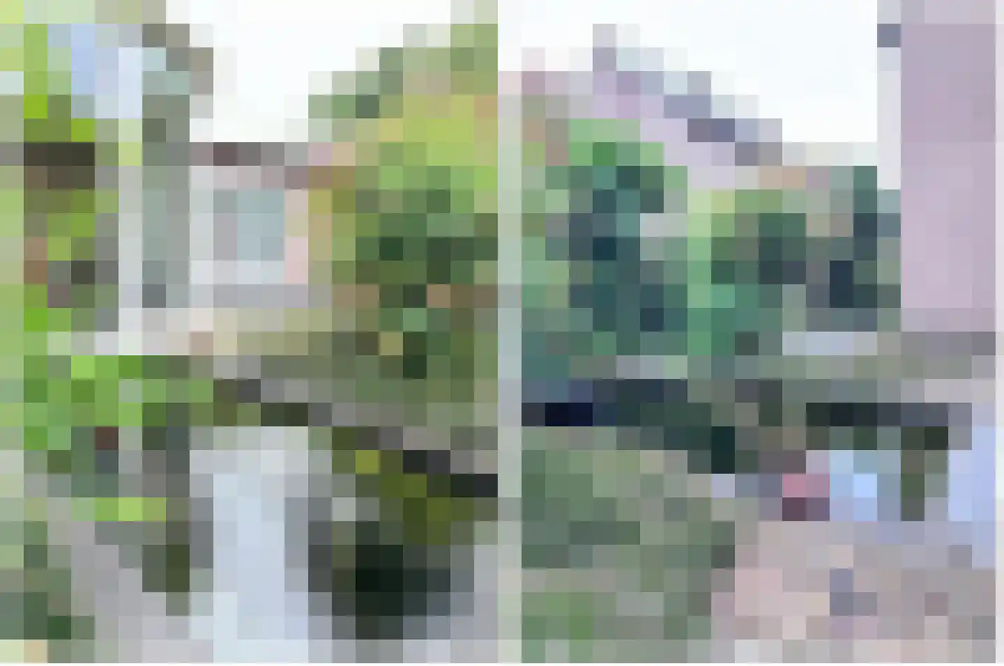 Booglaan 4 Oss thumbnail 53