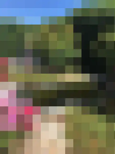 Booglaan 4 Oss thumbnail 54