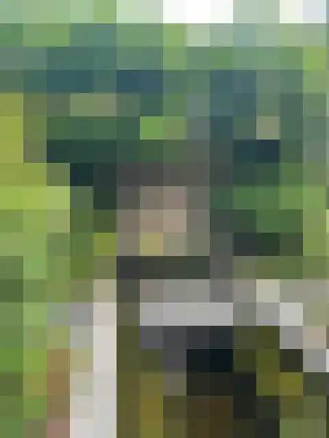 Booglaan 4 Oss thumbnail 64
