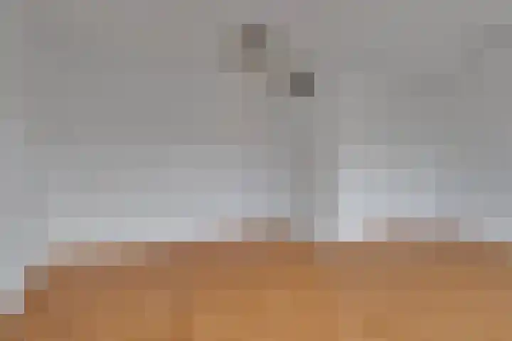 Boogschutter 130 Amstelveen thumbnail 12