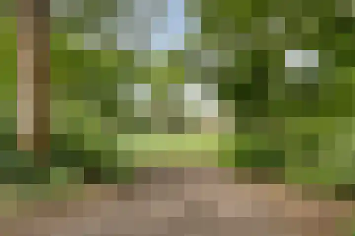 Boogschutter 130 Amstelveen thumbnail 23