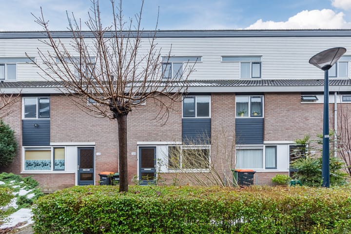 Boogschutter 164 in Hoorn