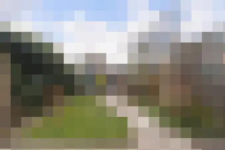 Boogschutter 25 Dordrecht thumbnail 27