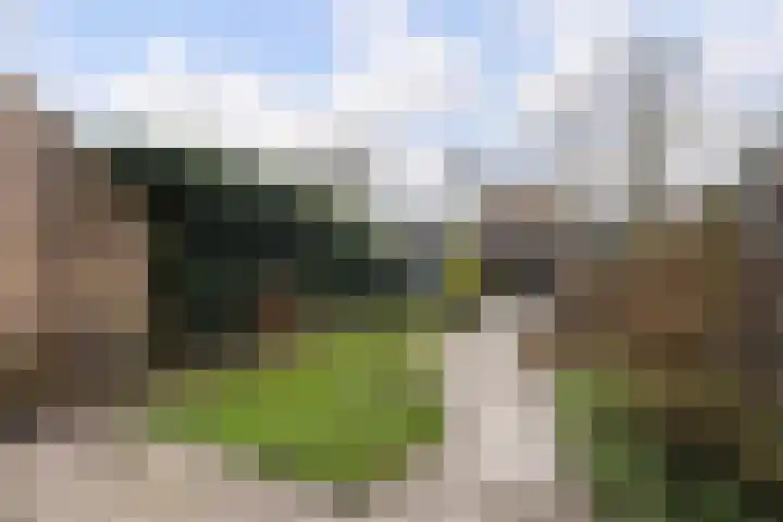 Boogschutter 25 Dordrecht thumbnail 28