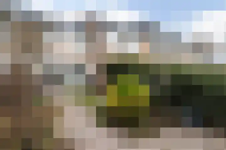 Boogschutter 25 Dordrecht thumbnail 30