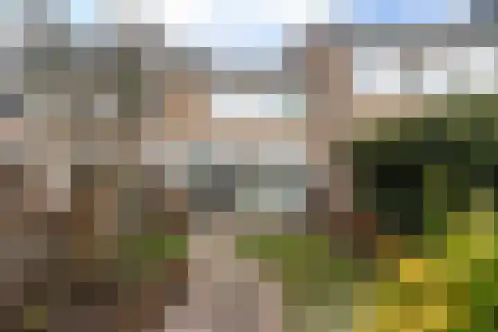 Boogschutter 25 Dordrecht thumbnail 31