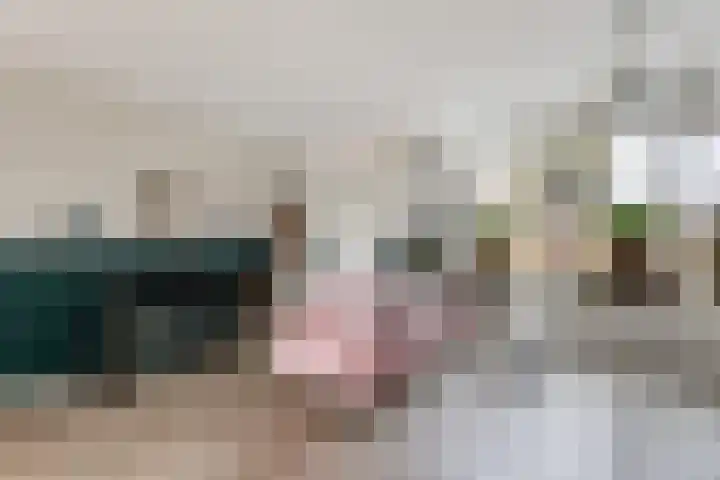 Boogschutter 25 Dordrecht thumbnail 9