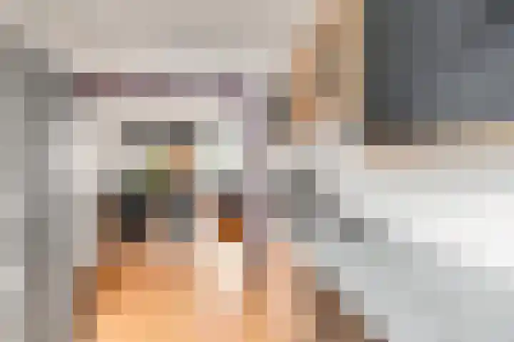 Boogschutter 3 Hellevoetsluis thumbnail 12