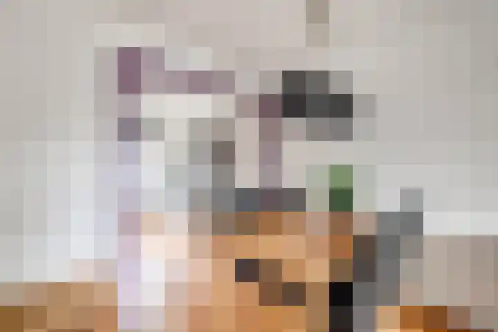 Boogschutter 3 Hellevoetsluis thumbnail 13