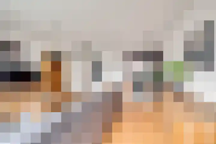Boogschutter 3 Hellevoetsluis thumbnail 16