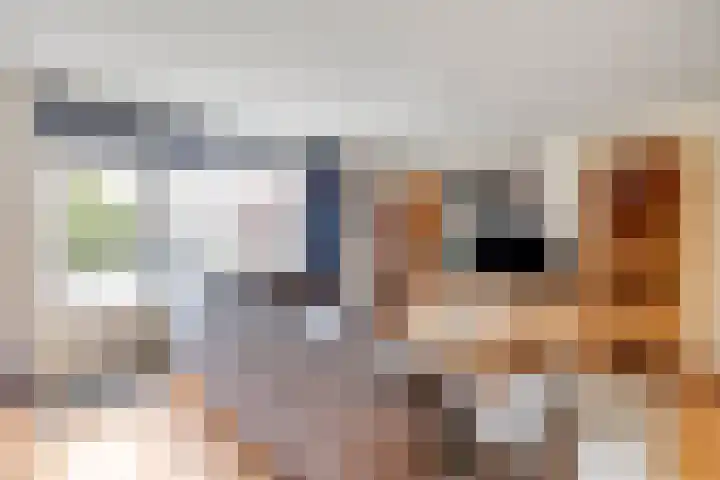 Boogschutter 3 Hellevoetsluis thumbnail 17