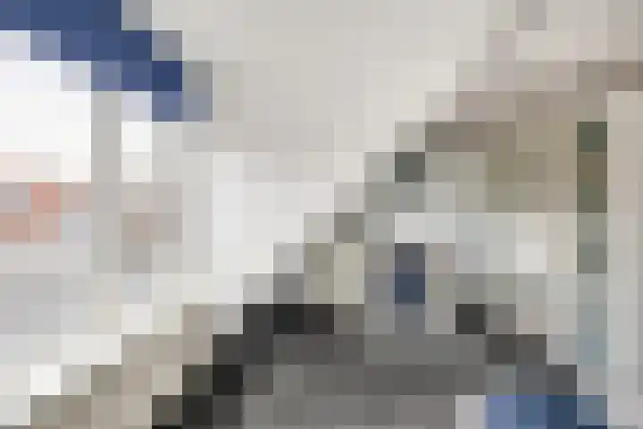 Boogschutter 3 Hellevoetsluis thumbnail 27