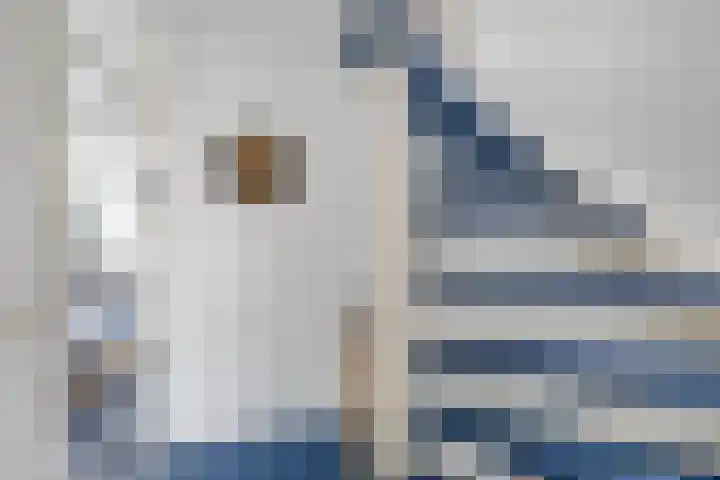 Boogschutter 3 Hellevoetsluis thumbnail 33