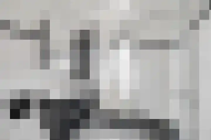Boogschutter 3 Hellevoetsluis thumbnail 4