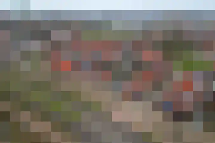 Boogschutter 3 Hellevoetsluis thumbnail 42
