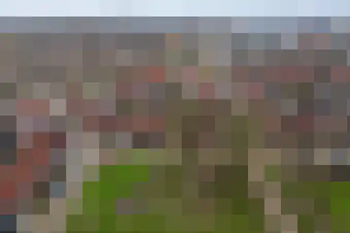 Boogschutter 3 Hellevoetsluis thumbnail 43