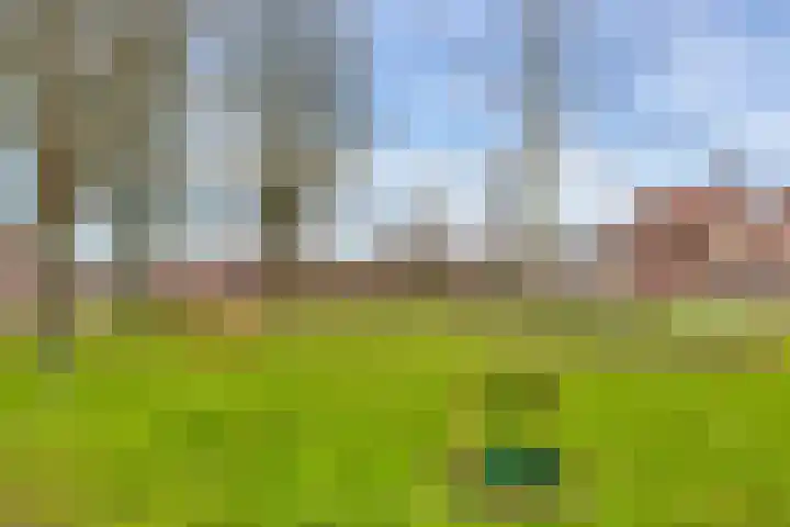 Boogschutter 3 Hellevoetsluis thumbnail 44