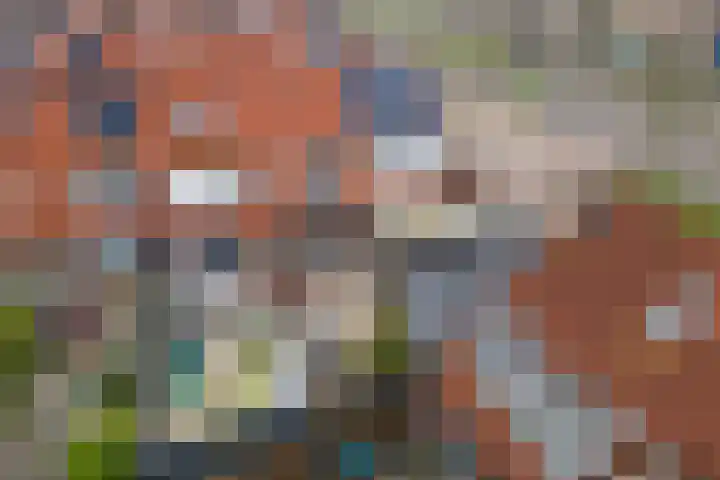 Boogschutter 3 Hellevoetsluis thumbnail 45