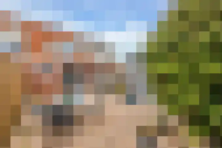 Boogschutter 3 Hellevoetsluis thumbnail 5