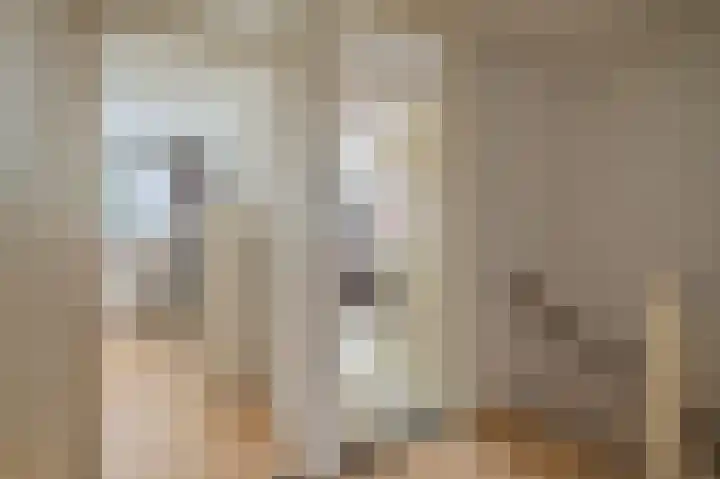Boogschutter 43 Hoogezand thumbnail 11