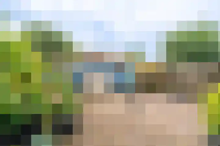 Boogschutter 43 Hoogezand thumbnail 22