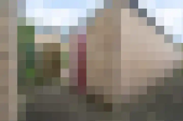 Boogschutter 43 Hoogezand thumbnail 23