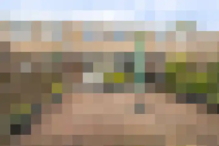 Boogschutter 43 Hoogezand thumbnail 24