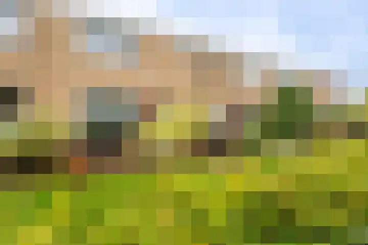 Boogschutter 43 Hoogezand thumbnail 25