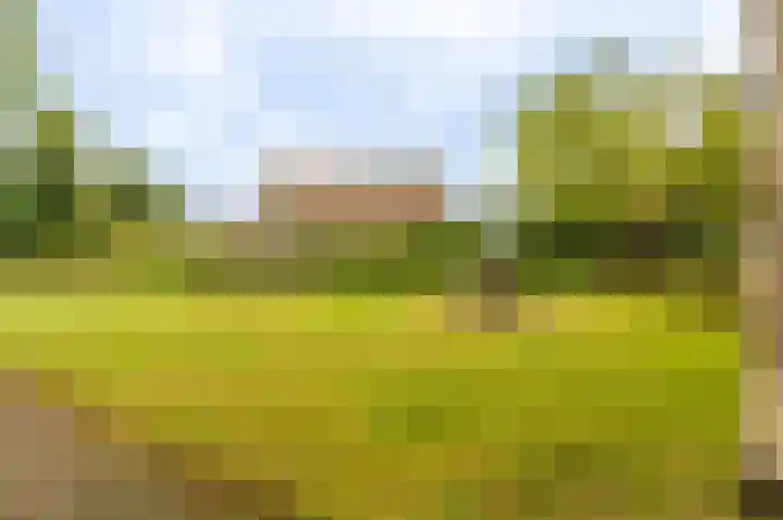 Boogschutter 43 Hoogezand thumbnail 26