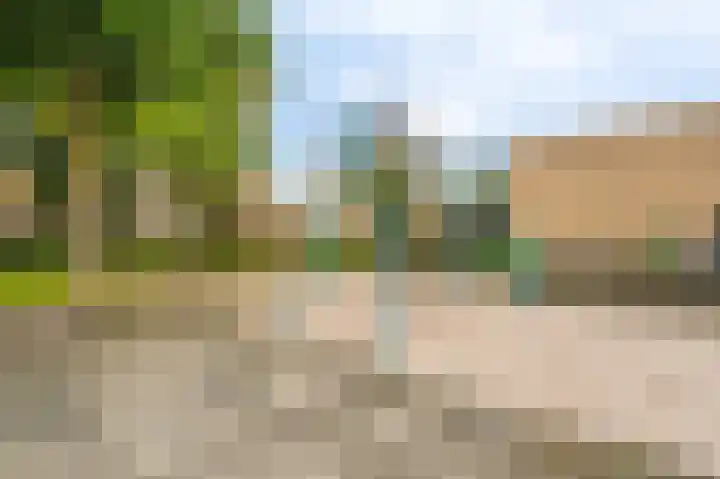 Boogschutter 43 Hoogezand thumbnail 27