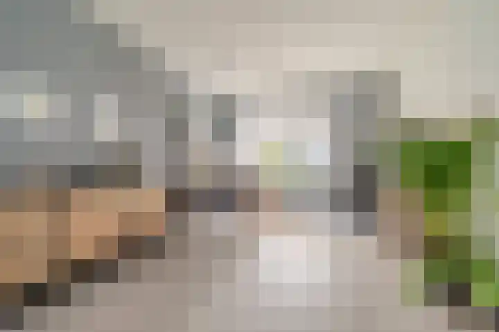 Boogschutter 43 Hoogezand thumbnail 4