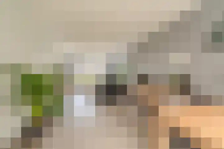 Boogschutter 43 Hoogezand thumbnail 7