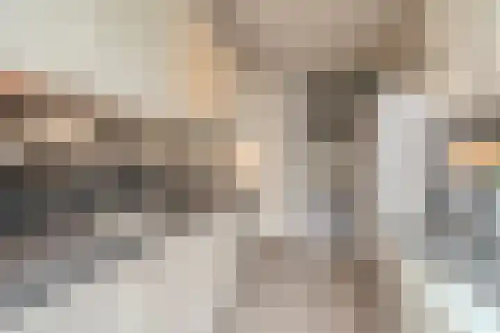 Boogschutter 43 Hoogezand thumbnail 9