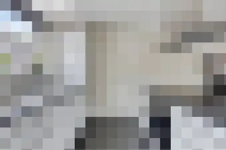 Boogschutter 5 Etten-Leur thumbnail 14