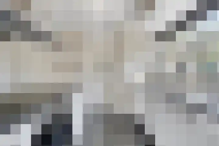 Boogschutter 5 Etten-Leur thumbnail 15