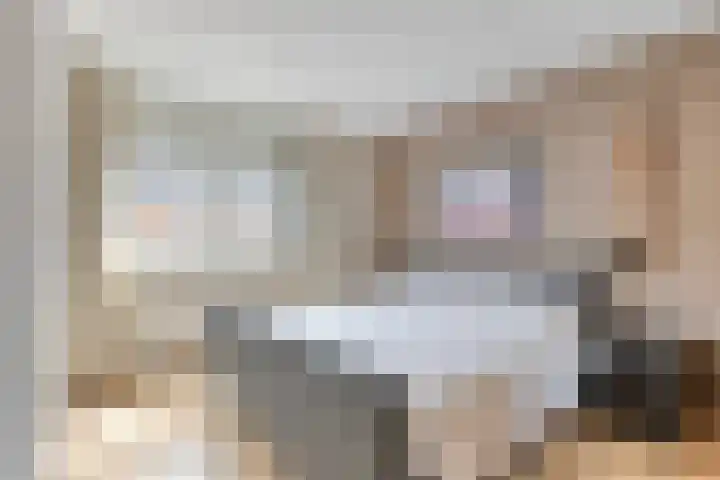 Boogschutter 5 Etten-Leur thumbnail 17