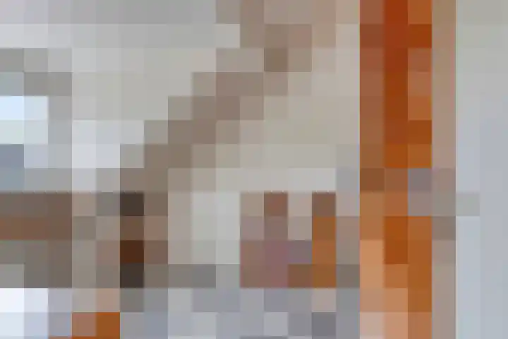 Boogschutter 5 Etten-Leur thumbnail 26