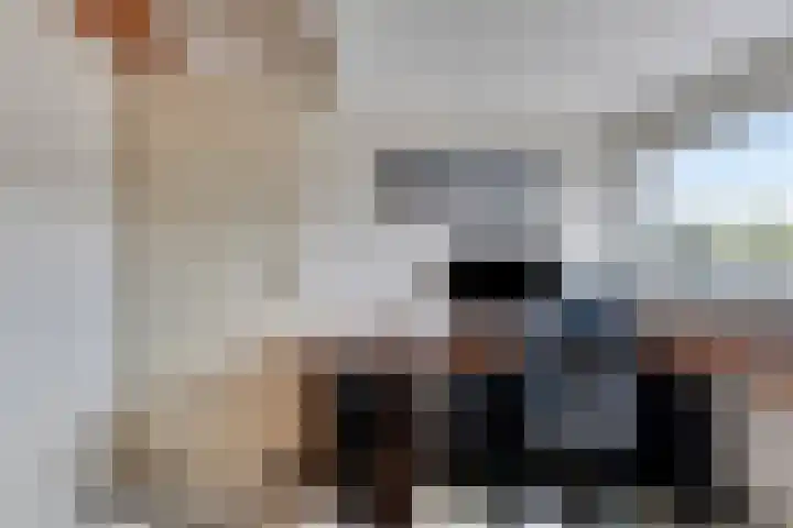 Boogschutter 5 Etten-Leur thumbnail 27