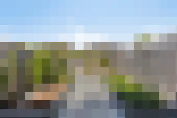 Boogschutter 5 Etten-Leur thumbnail 29