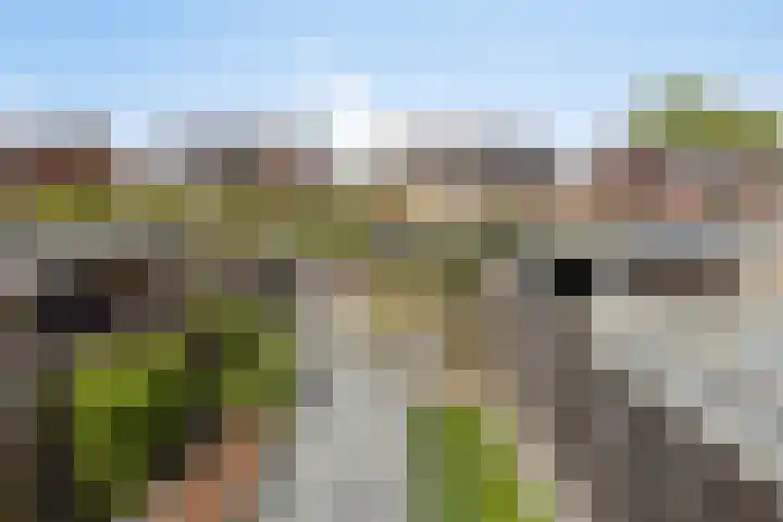 Boogschutter 5 Etten-Leur thumbnail 32