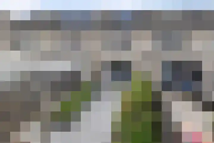 Boogschutter 5 Etten-Leur thumbnail 33