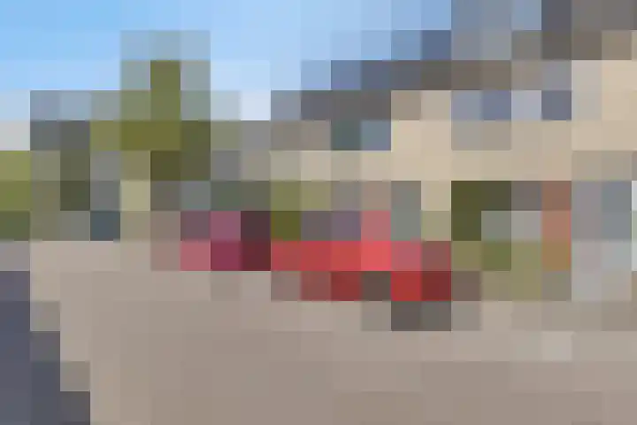 Boogschutter 5 Etten-Leur thumbnail 34