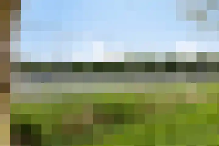 Boogschutter 5 Etten-Leur thumbnail 38