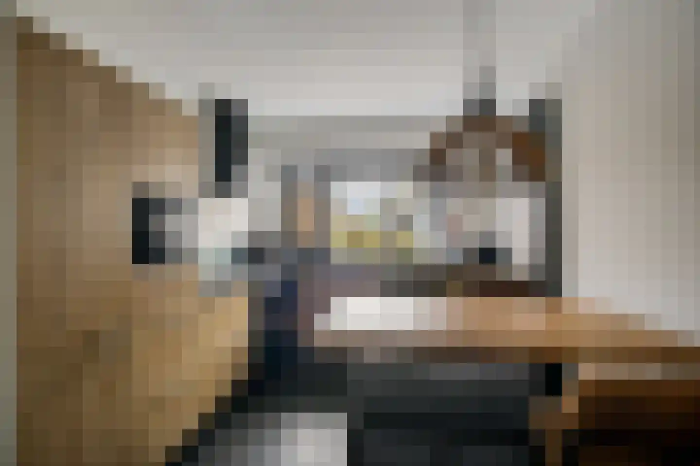 Boogschutter 54 Hoorn thumbnail 10