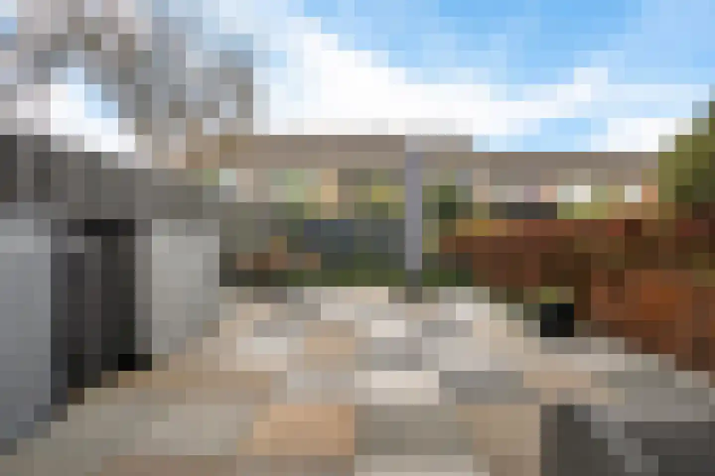 Boogschutter 54 Hoorn thumbnail 25