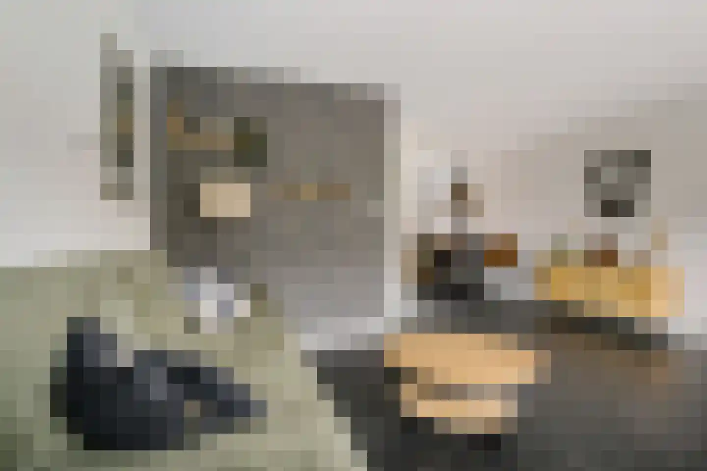 Boogschutter 54 Hoorn thumbnail 7
